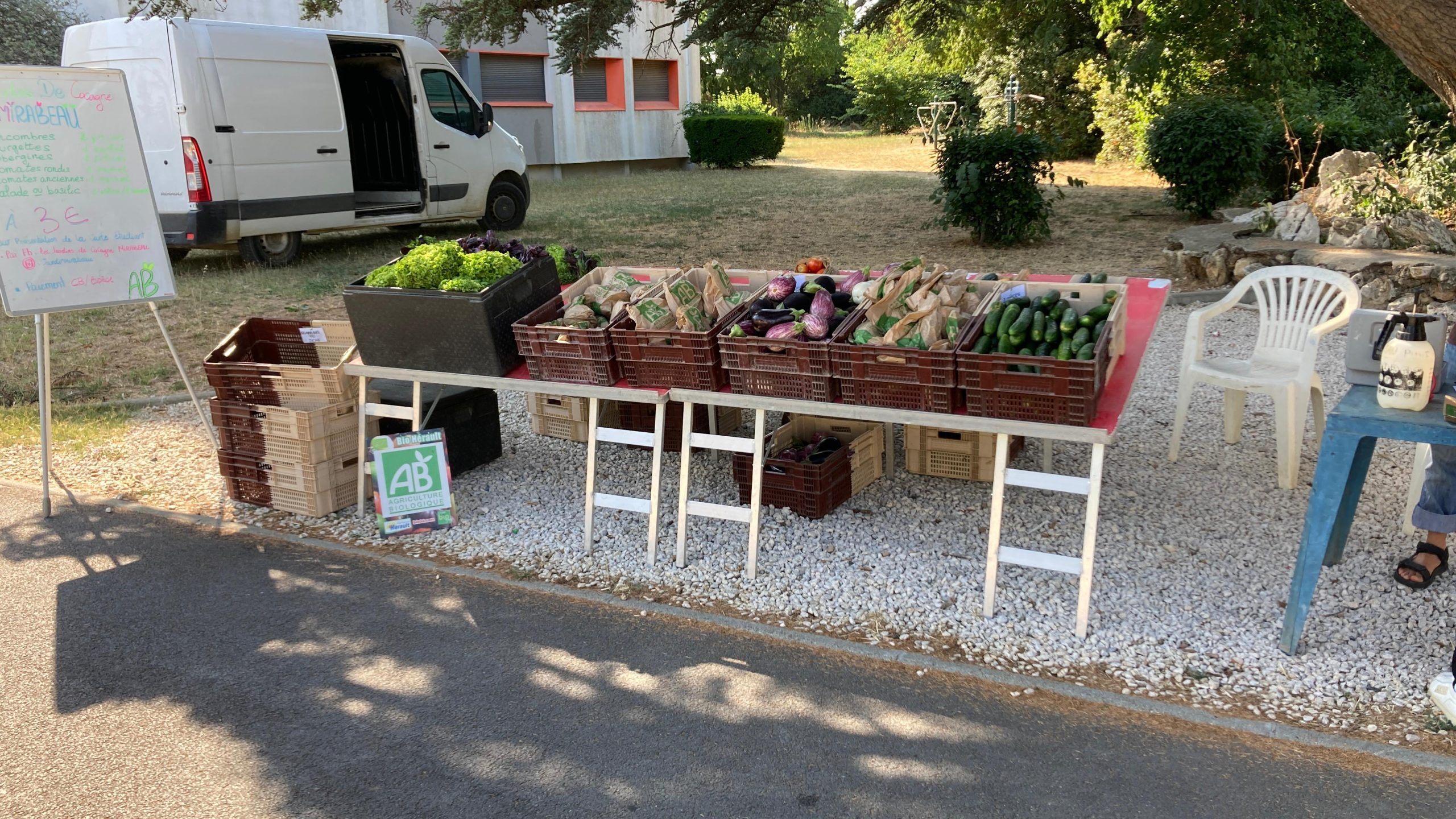 Distribution de légumes