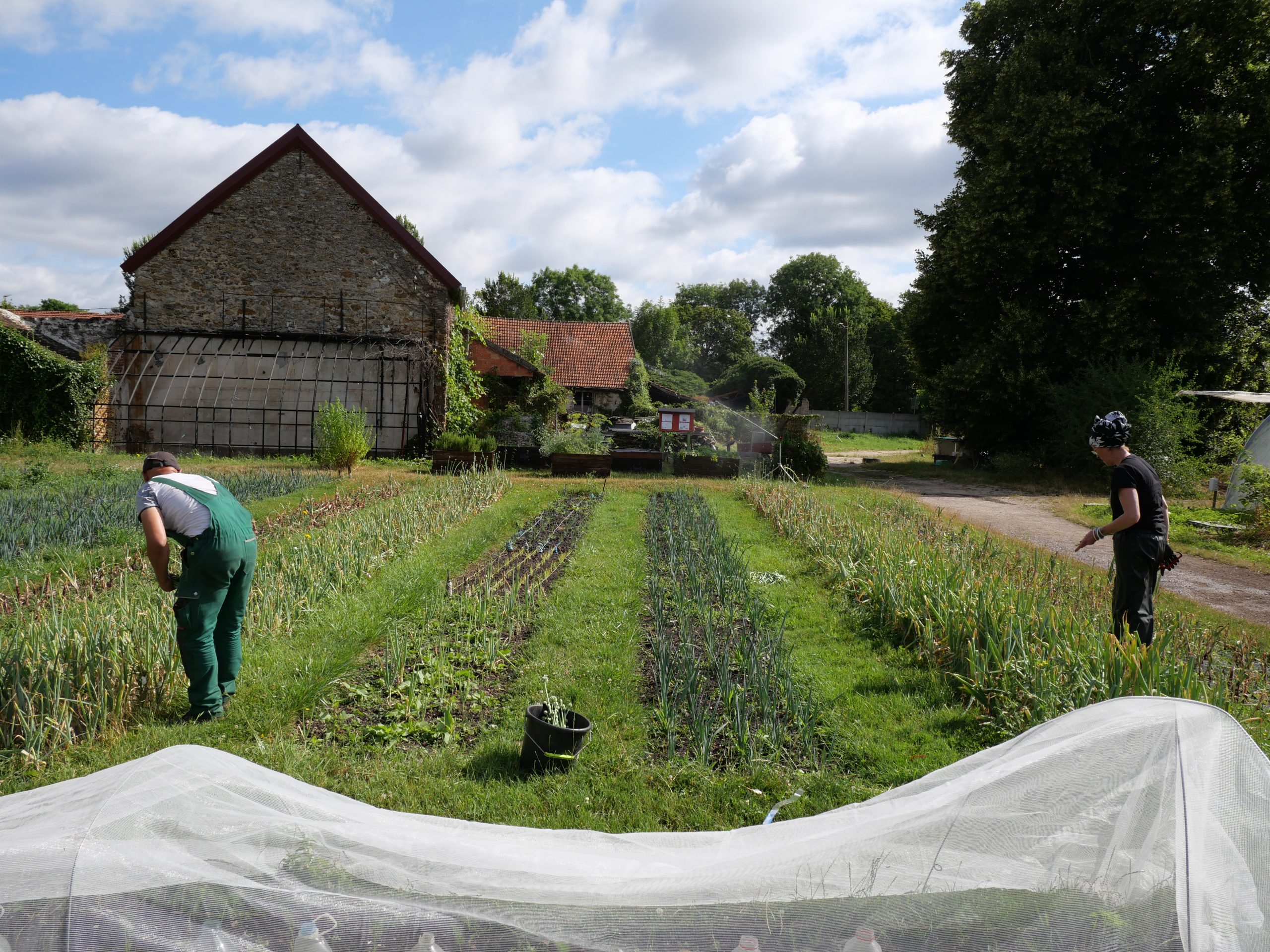 Espace agricole avec des personnes en réinsertion sociale